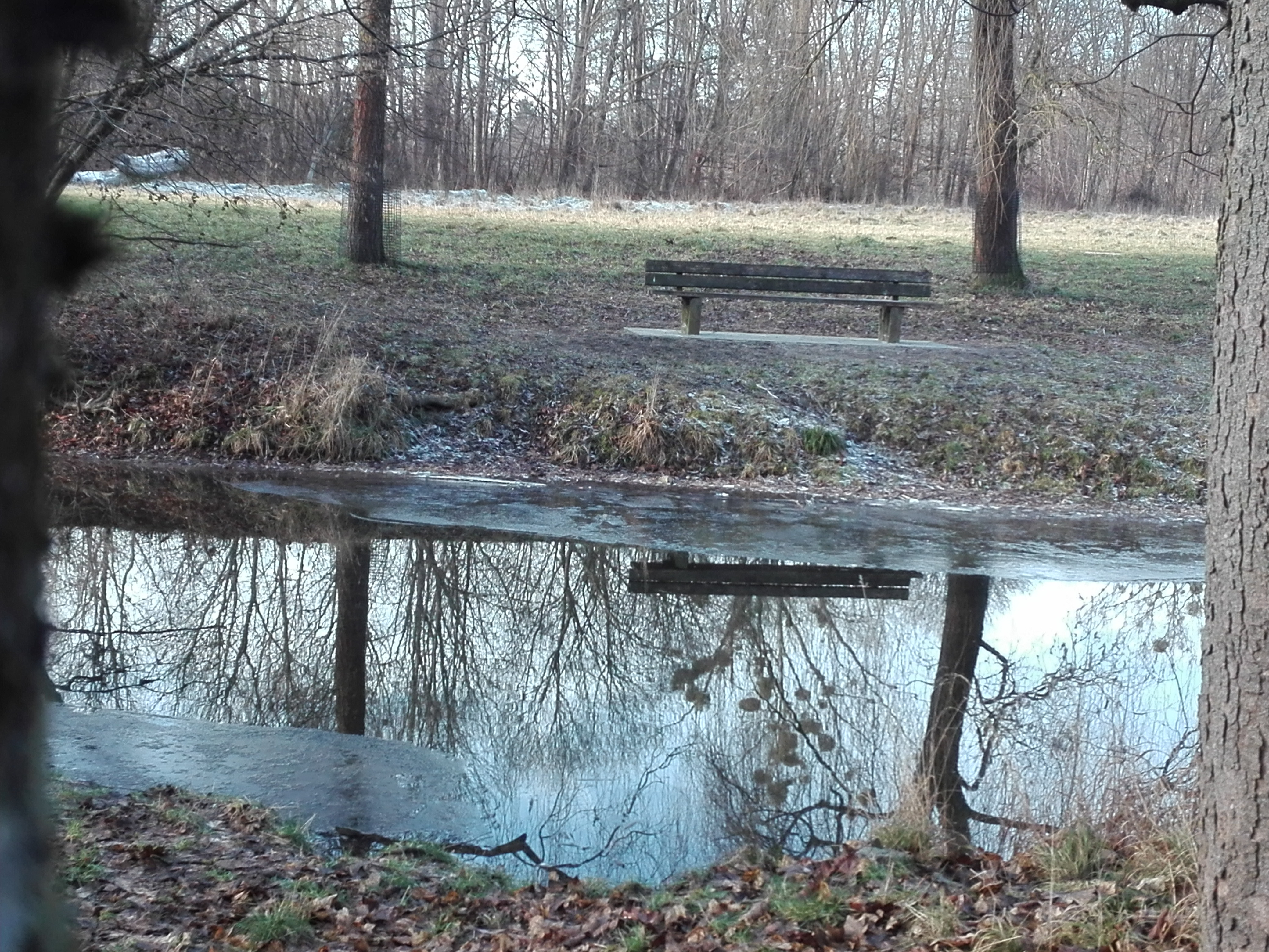 Eine Parkbank und Baumstämme spiegeln sich in einem winterlich angefrorenem Fluss.