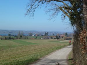 Traumwetter am Ammersee